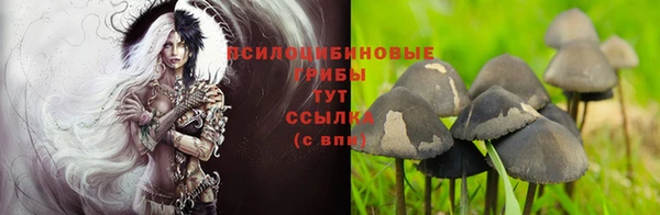 марки nbome Баксан