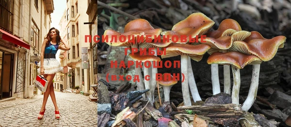 мдпв Балабаново
