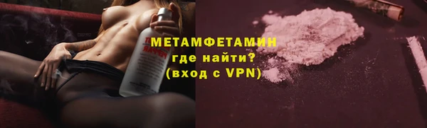 шишки Пестово