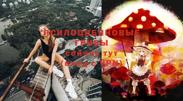 мдпв Балабаново