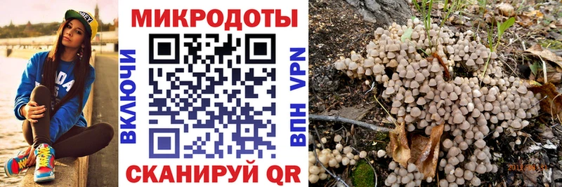 Галлюциногенные грибы прущие грибы Шацк